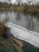IMG_20140219_081500.jpg