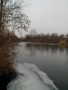 IMG_20140219_081526.jpg