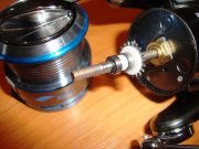 DSC09915.JPG