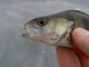DSC_0148.jpg
