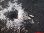 DSC01326.JPG
