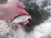 DSC01327.JPG