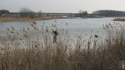 IMG_2033.jpg