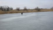 IMG_2037.jpg