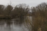 IMG_4774.JPG