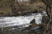 IMG_4777.JPG
