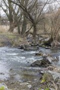IMG_4781.JPG