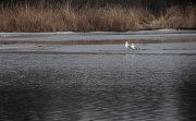 IMG_3405_resize.jpg