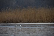 IMG_3408_resize.jpg