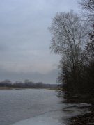 IMG_3419_resize.jpg