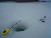 DSC00884.JPG