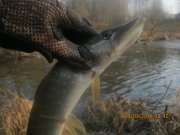 IMG_1033.JPG