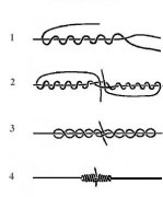 mag_knots_Blood Knot.jpg