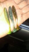 IMAG0435.jpg