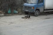 IMG_0552.jpg