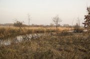IMG_0556.jpg