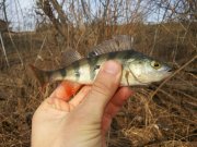 20140315_084955.jpg
