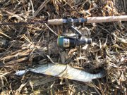 IMG_0911[2].JPG