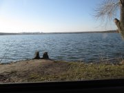IMG_0195.JPG
