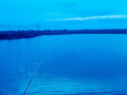 IMG_20140325_172406_0.jpg
