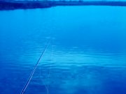 IMG_20140325_172410_0.jpg