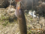 IMG_0003.JPG
