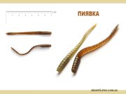 пиявка.jpg