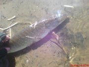 DSC01396.JPG
