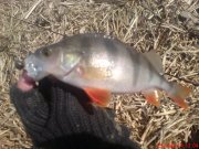DSC01406.JPG