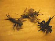 IMG_6538.jpg