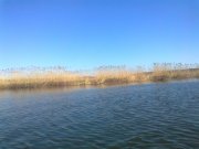 Фото3562.jpg