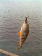 120120141019.jpg