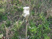 IMG_0013.JPG