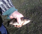 IMG0236A.jpg