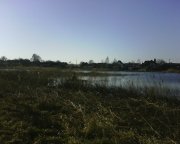 IMG0238A.jpg