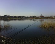 IMG0241A.jpg