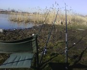 IMG0241B.jpg