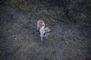 IMG_5345.JPG