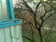 050420141042.jpg