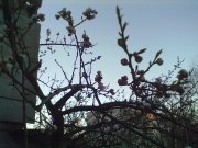 050420141043.jpg