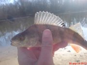 DSC01431.JPG