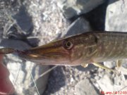 DSC01434.JPG