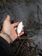 20140408_143022.jpg
