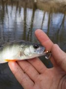 20140408_150352.jpg