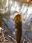 20140408_153418.jpg