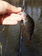 20140408_154246.jpg