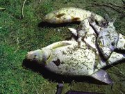 IMG_20140407_111251.jpg