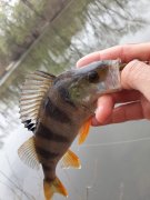 20140410_161001.jpg