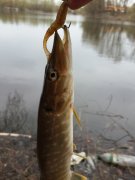 20140410_162742.jpg