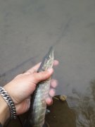 20140410_162808.jpg